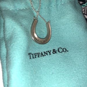 Tiffany & Co. Horseshoe Necklace!